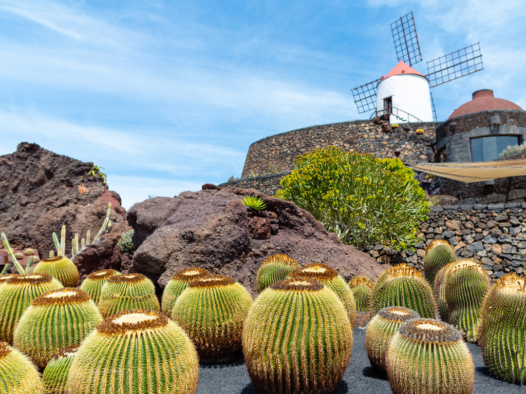 facts about lanzarote for kids